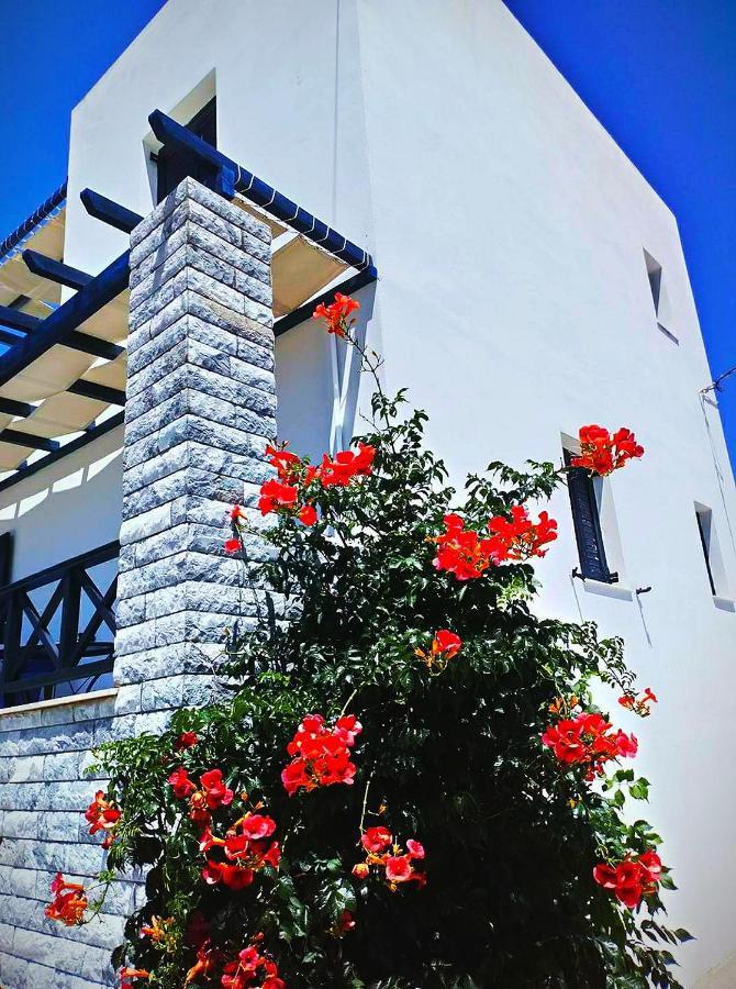 Glafki Studios Syros Megas Gialos - Nites Bagian luar foto